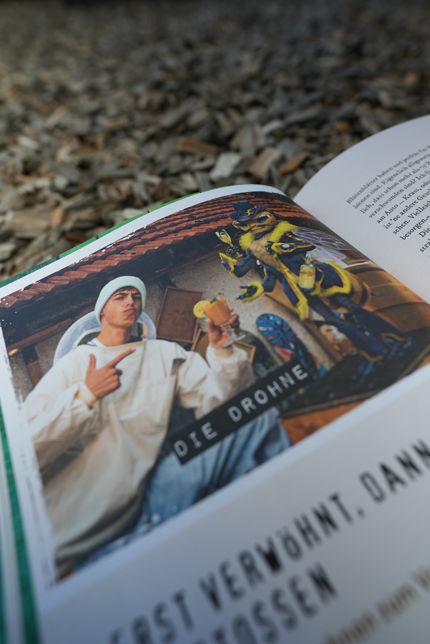 Quentins Welt der Bienen (Buch)