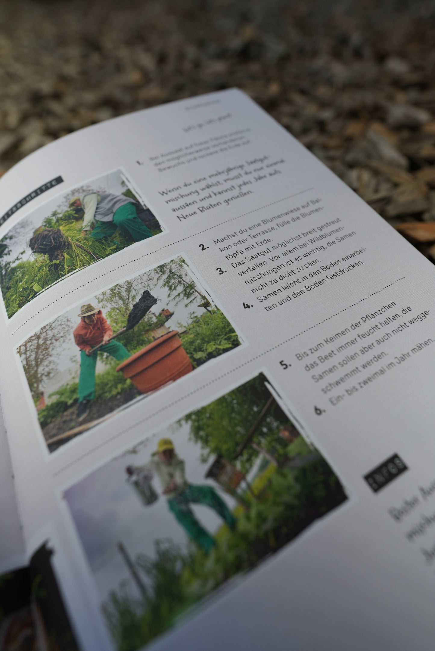 Quentins Welt der Bienen (Buch)
