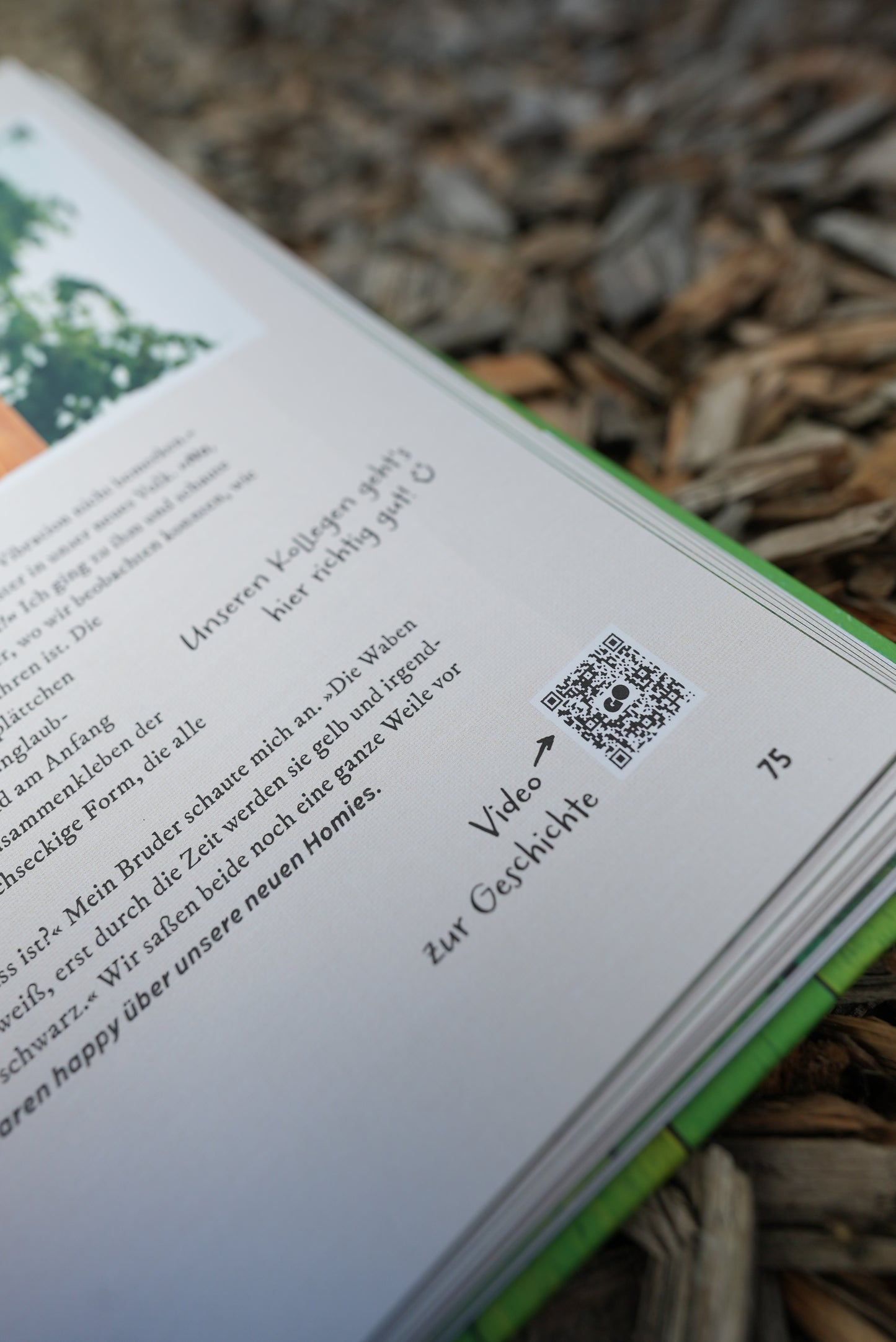 Quentins Welt der Bienen (Buch)