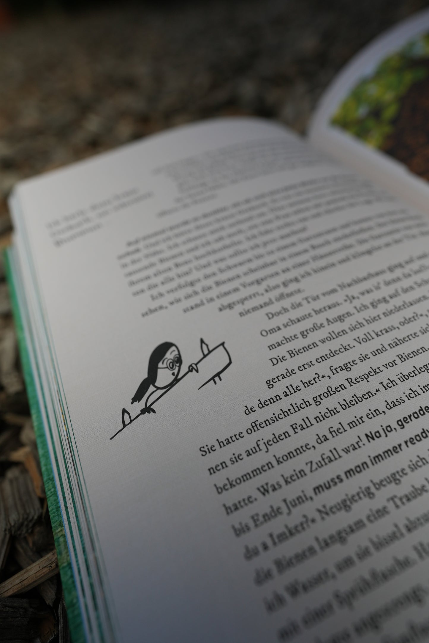 Quentins Welt der Bienen (Buch)