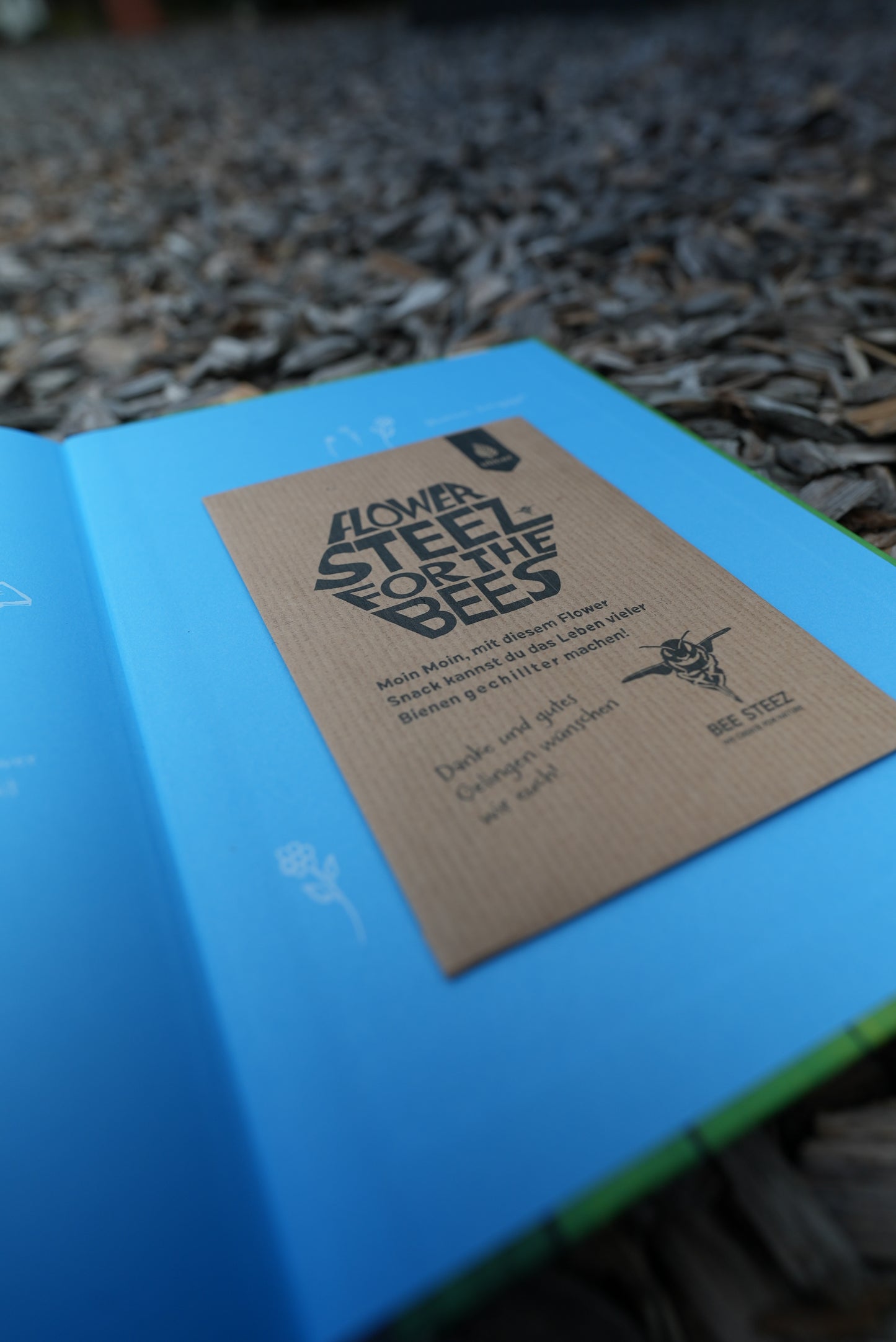 Quentins Welt der Bienen (Buch)