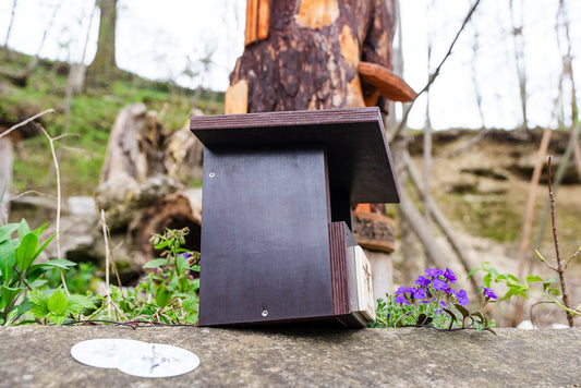 STEEZ-Nistkasten #savethebirds